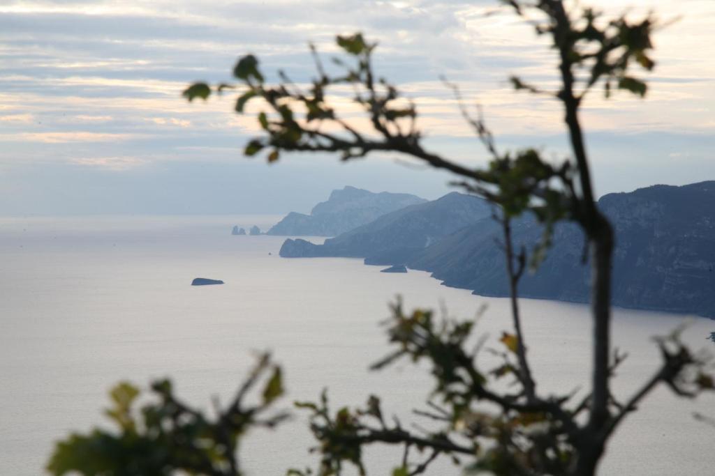 Вілла Agriturismo Mare E Monti Аджерола Екстер'єр фото