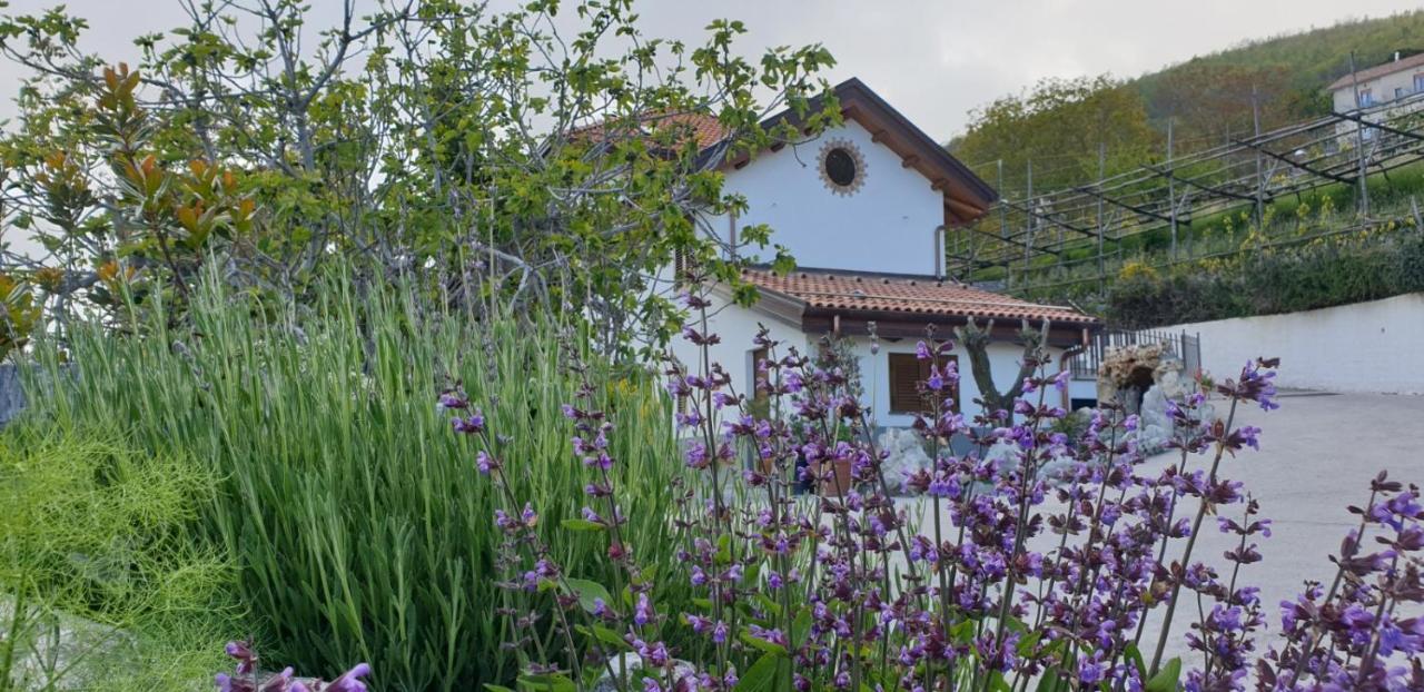 Вілла Agriturismo Mare E Monti Аджерола Екстер'єр фото